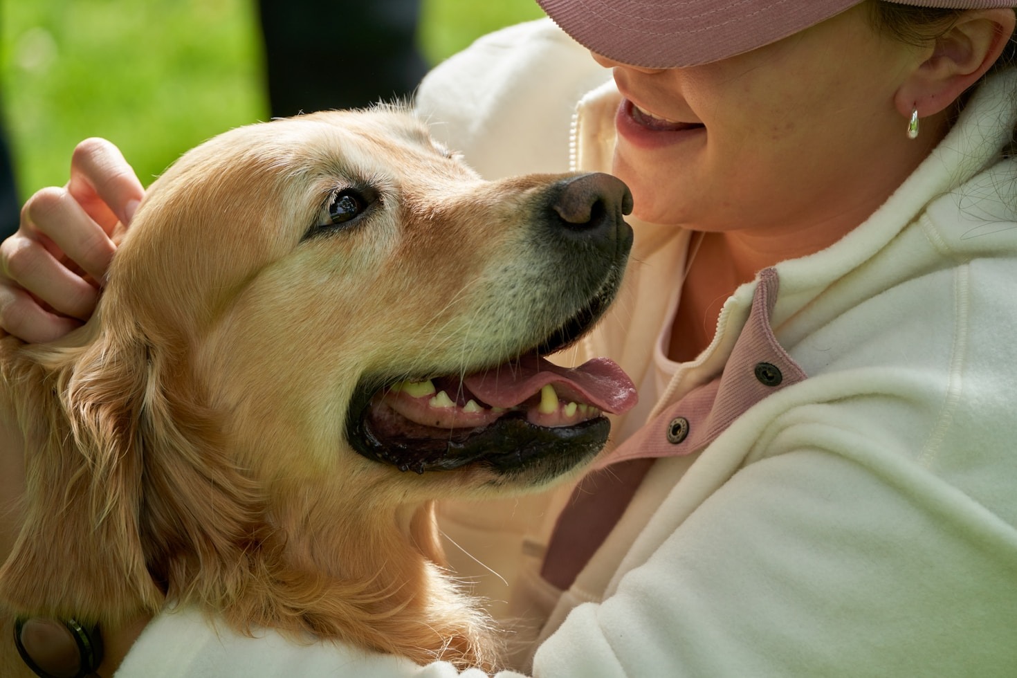 Cómo la terapia animal mejora el bienestar emocional