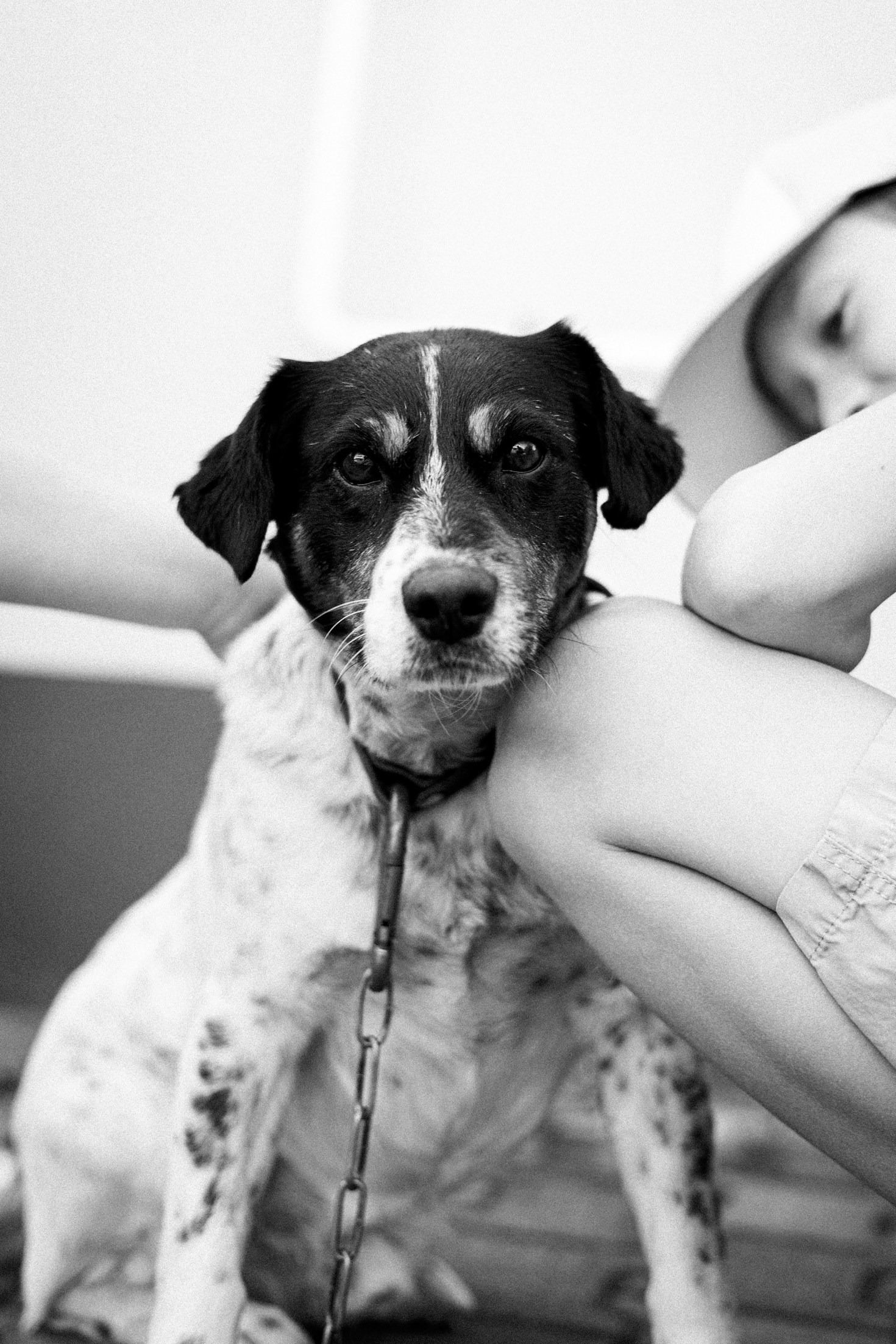 La ciencia detrás del contacto humano-animal