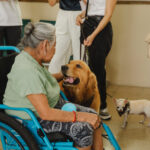 Huellas que acompañan: