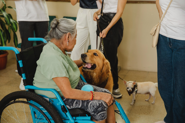 Huellas que acompañan: